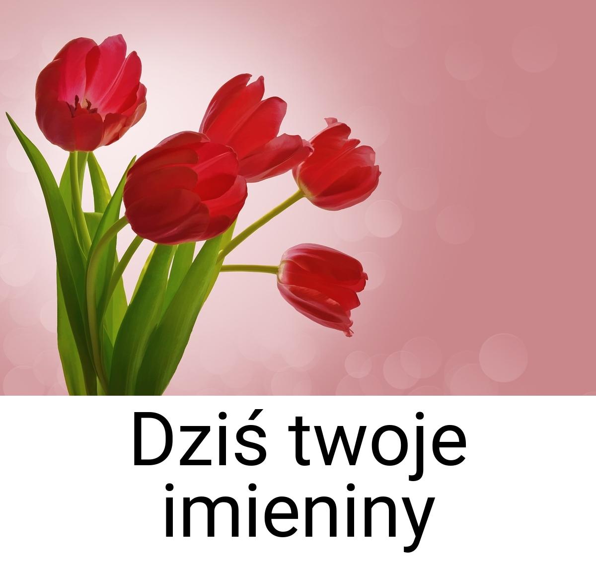 Dziś twoje imieniny