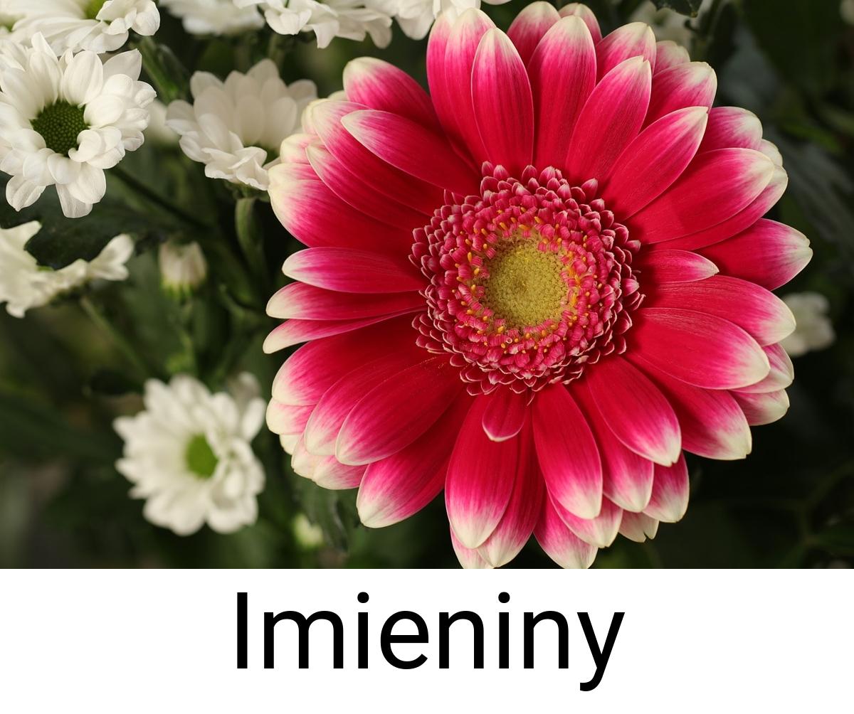 Imieniny