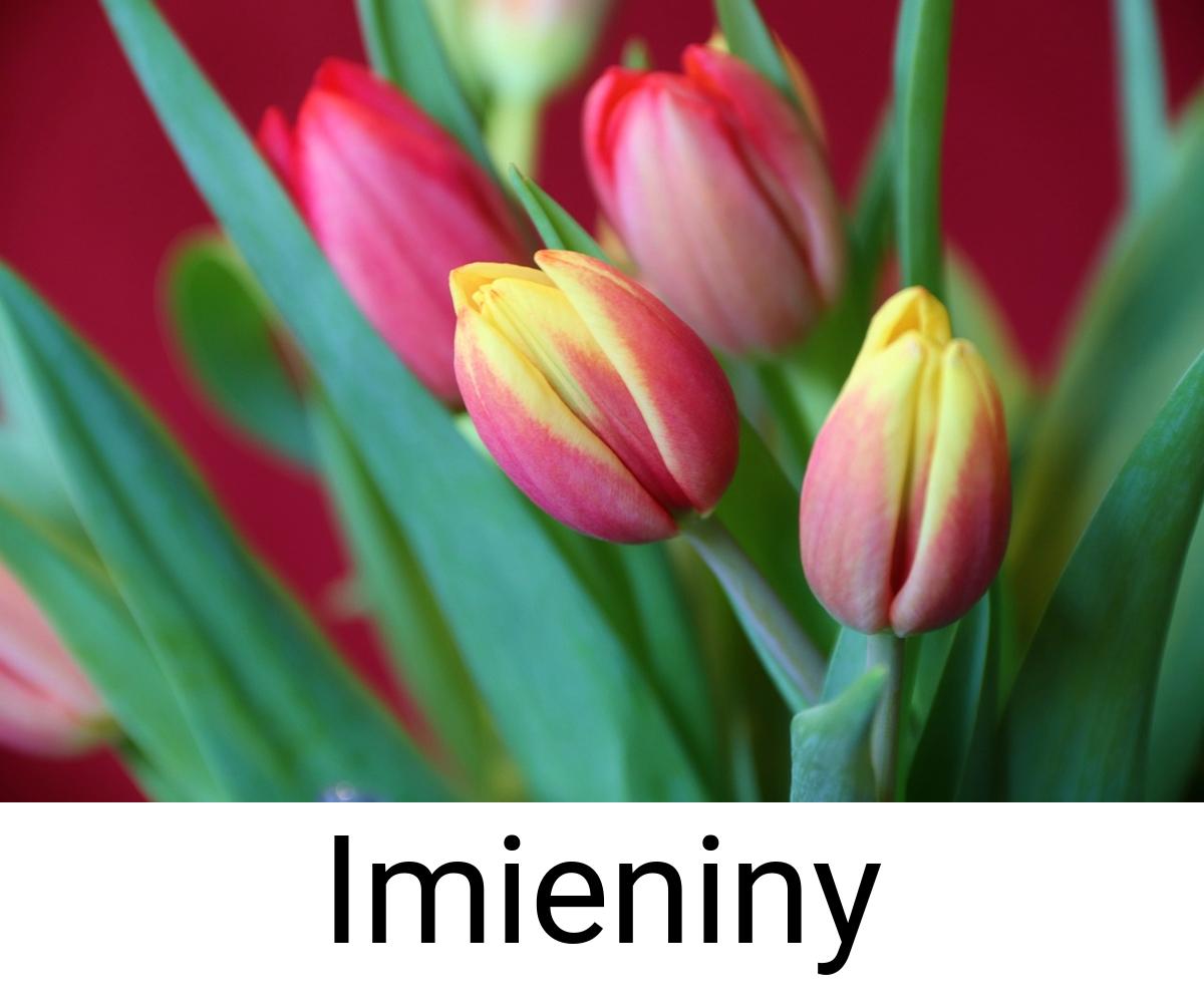 Imieniny