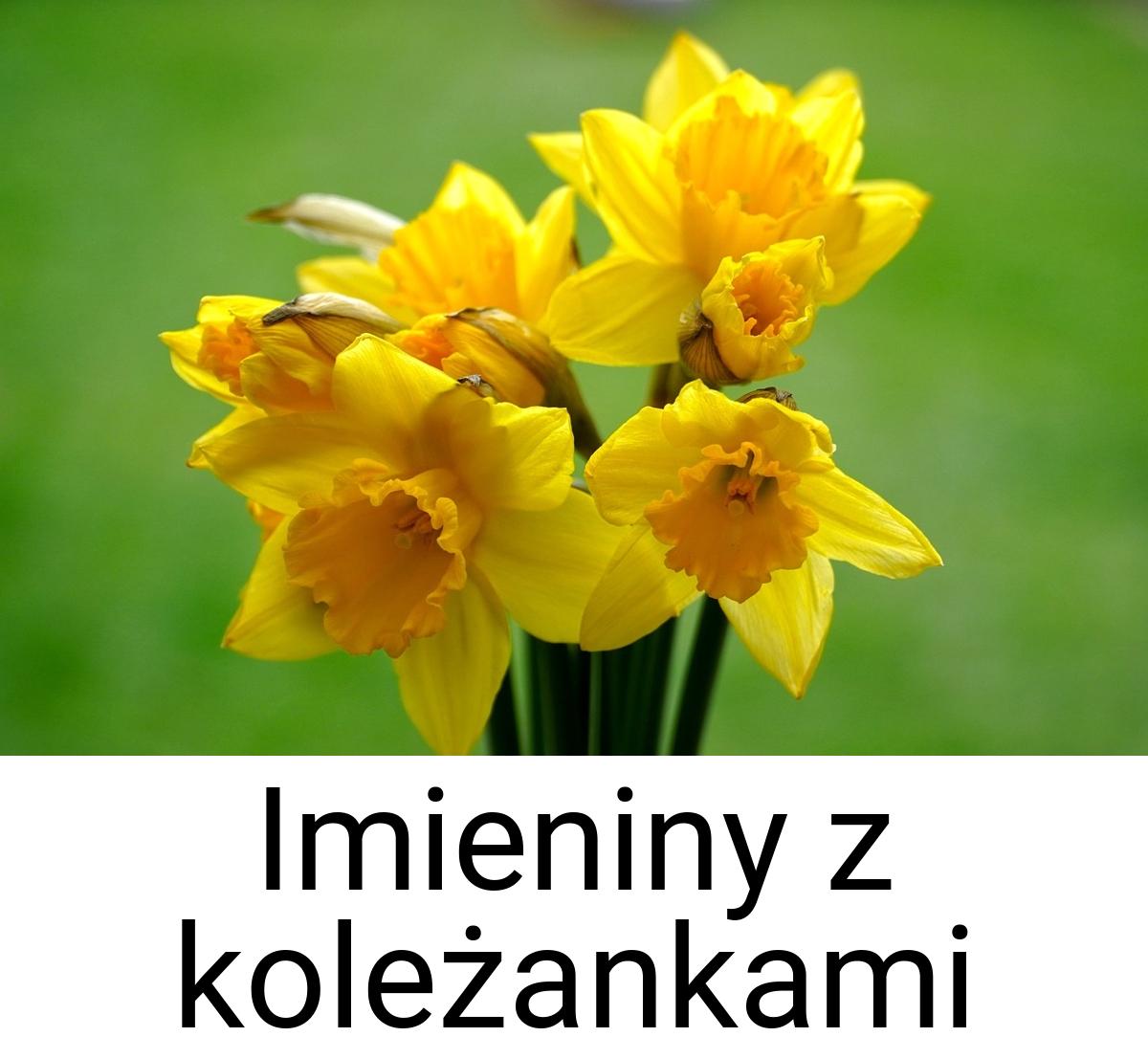 Imieniny z koleżankami