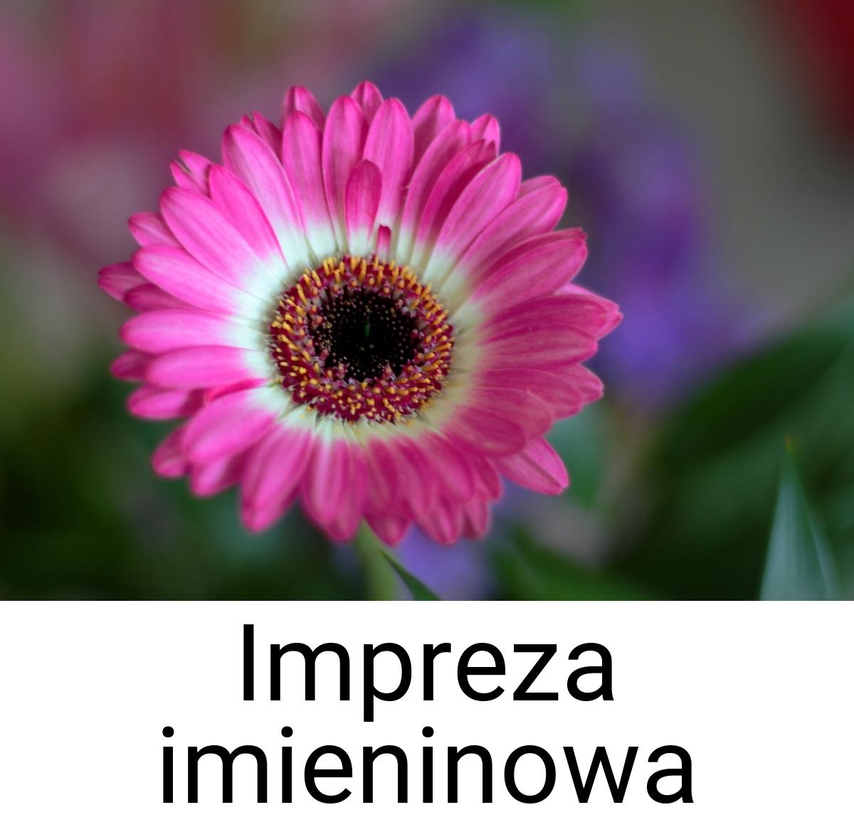 Impreza imieninowa