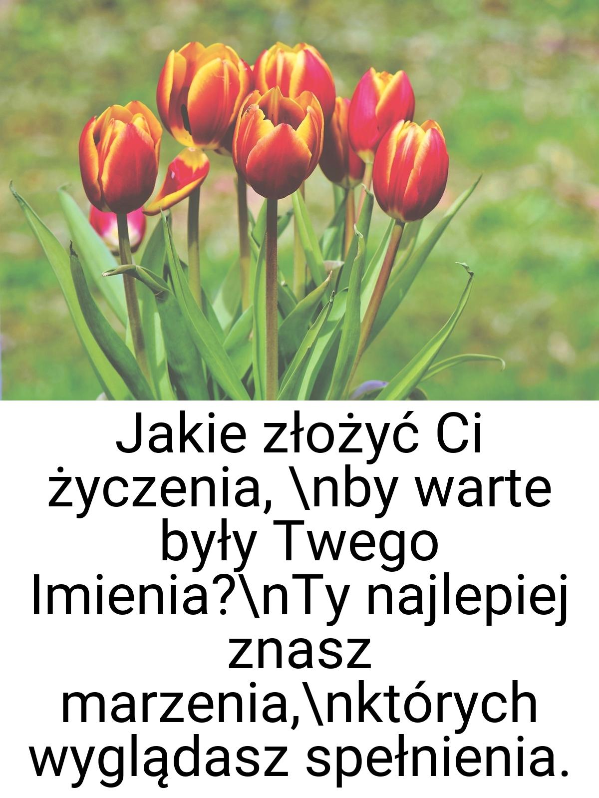 Jakie złożyć Ci życzenia, \nby warte były Twego