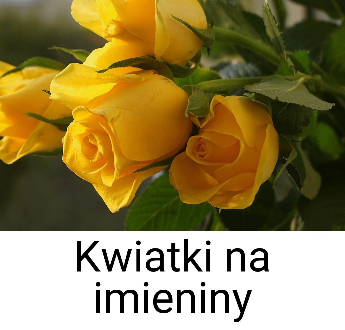 Kwiatki na imieniny