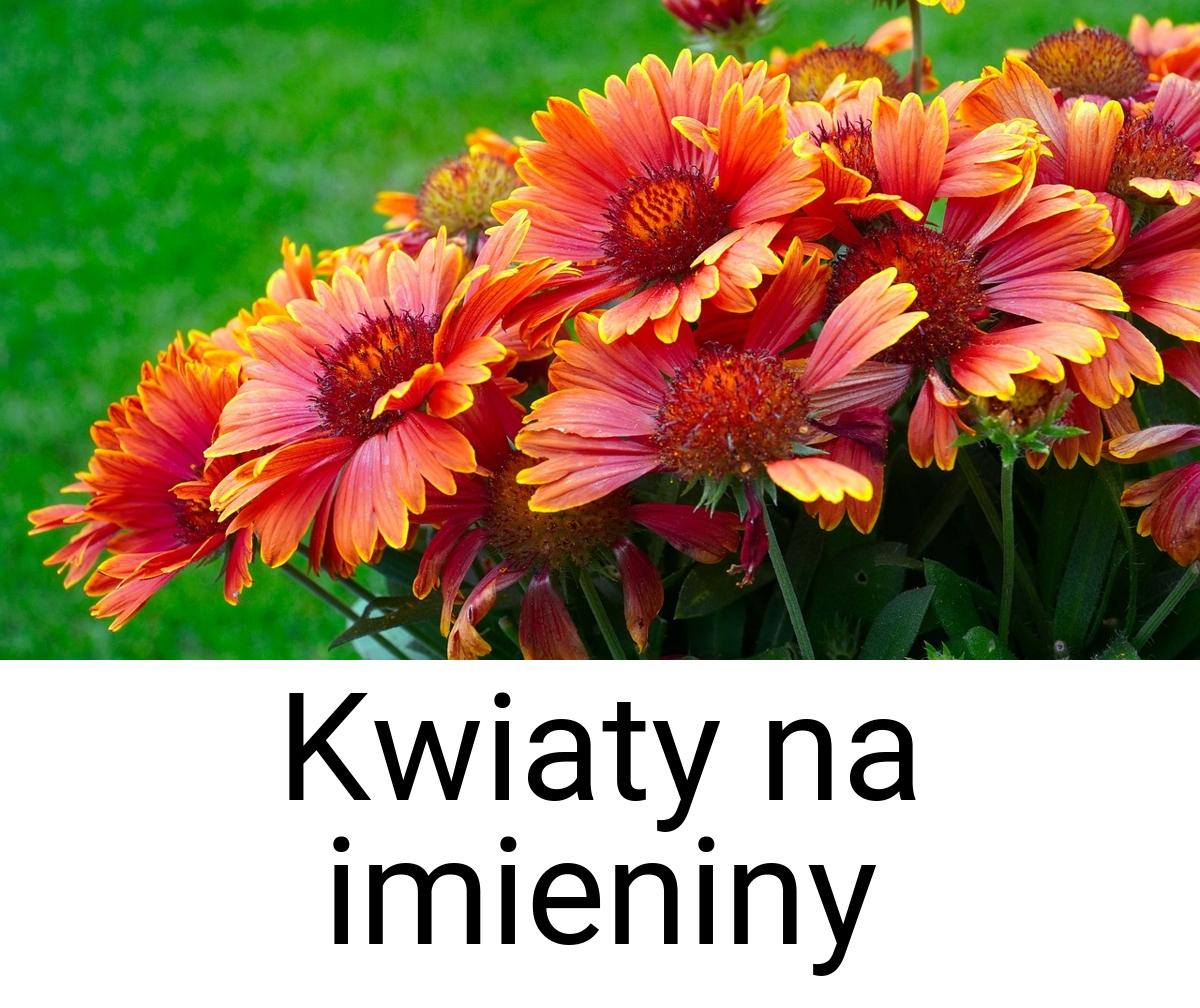 Kwiaty na imieniny