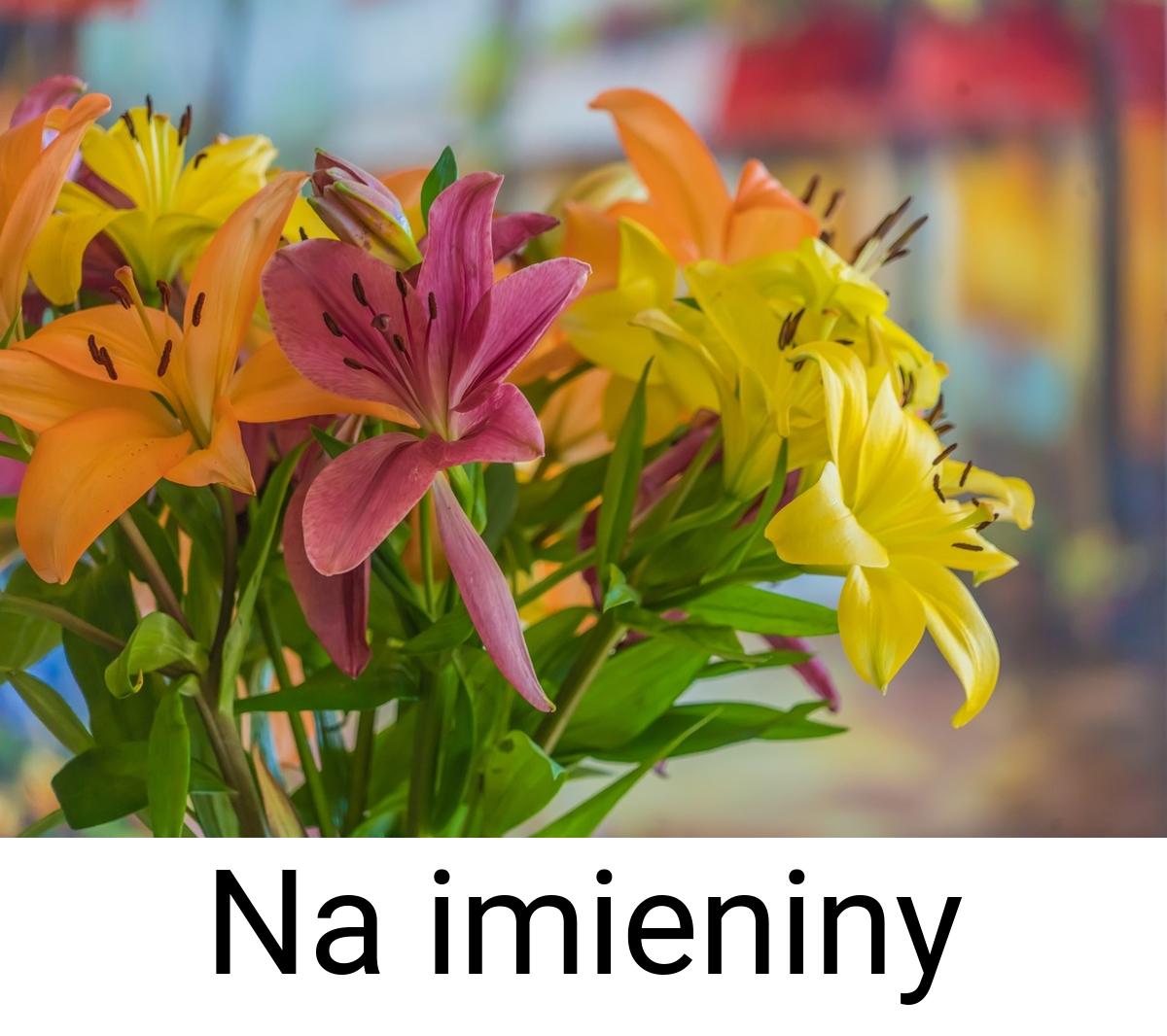 Na imieniny