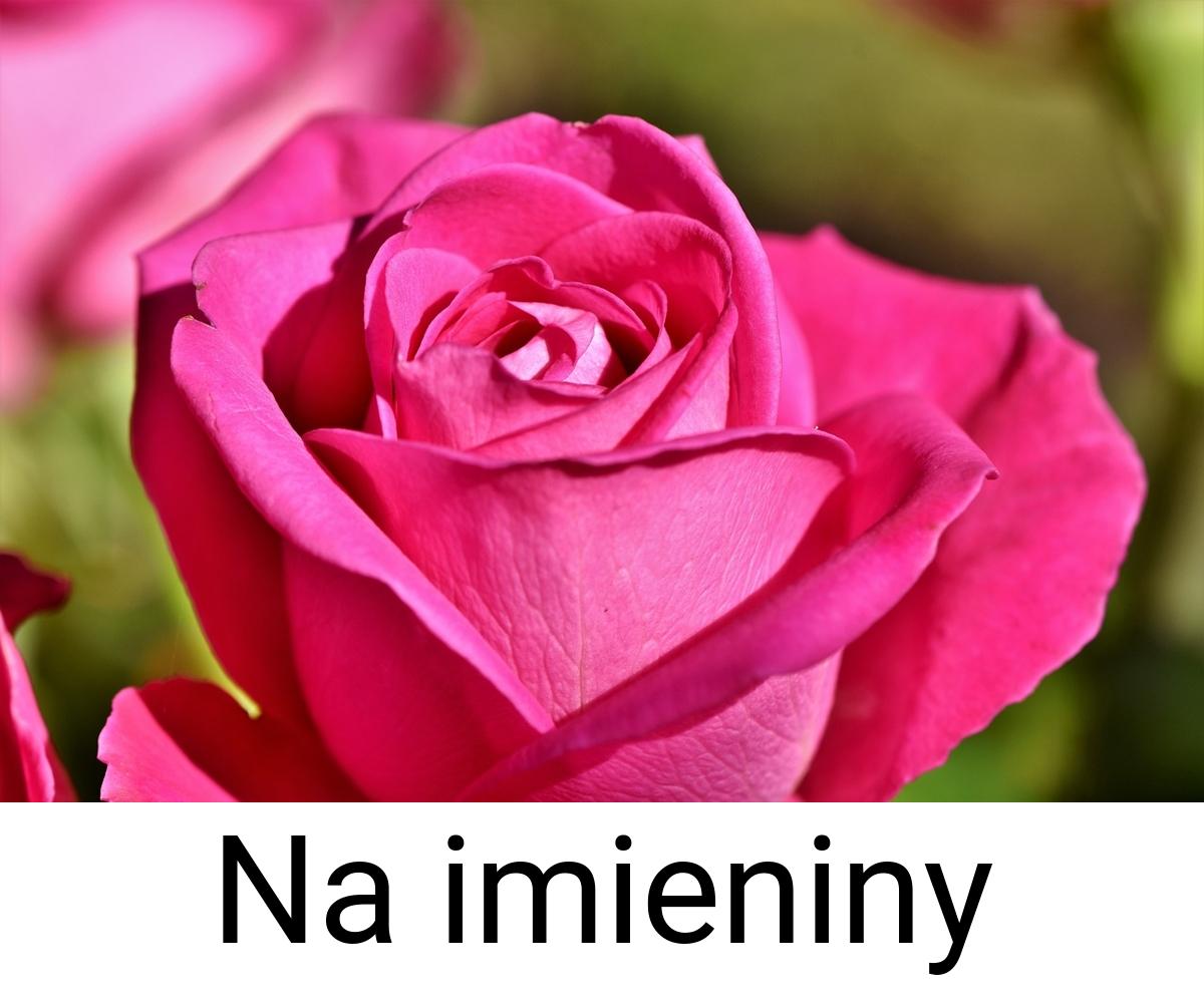 Na imieniny