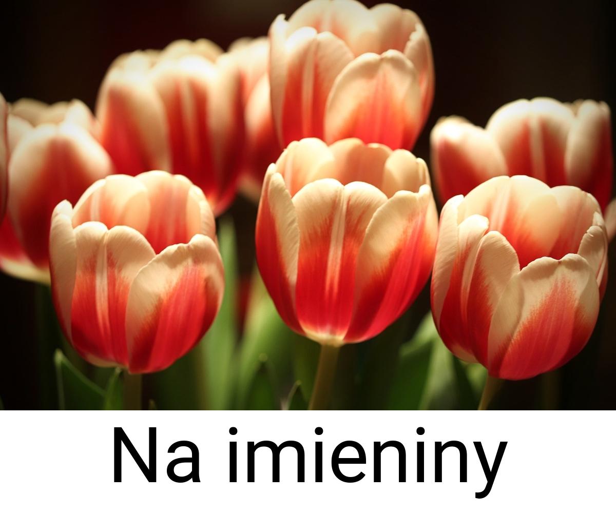 Na imieniny