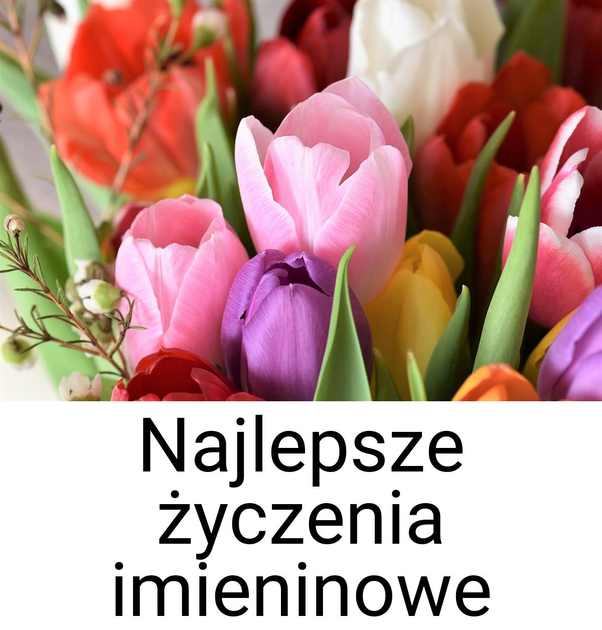 Najlepsze życzenia imieninowe