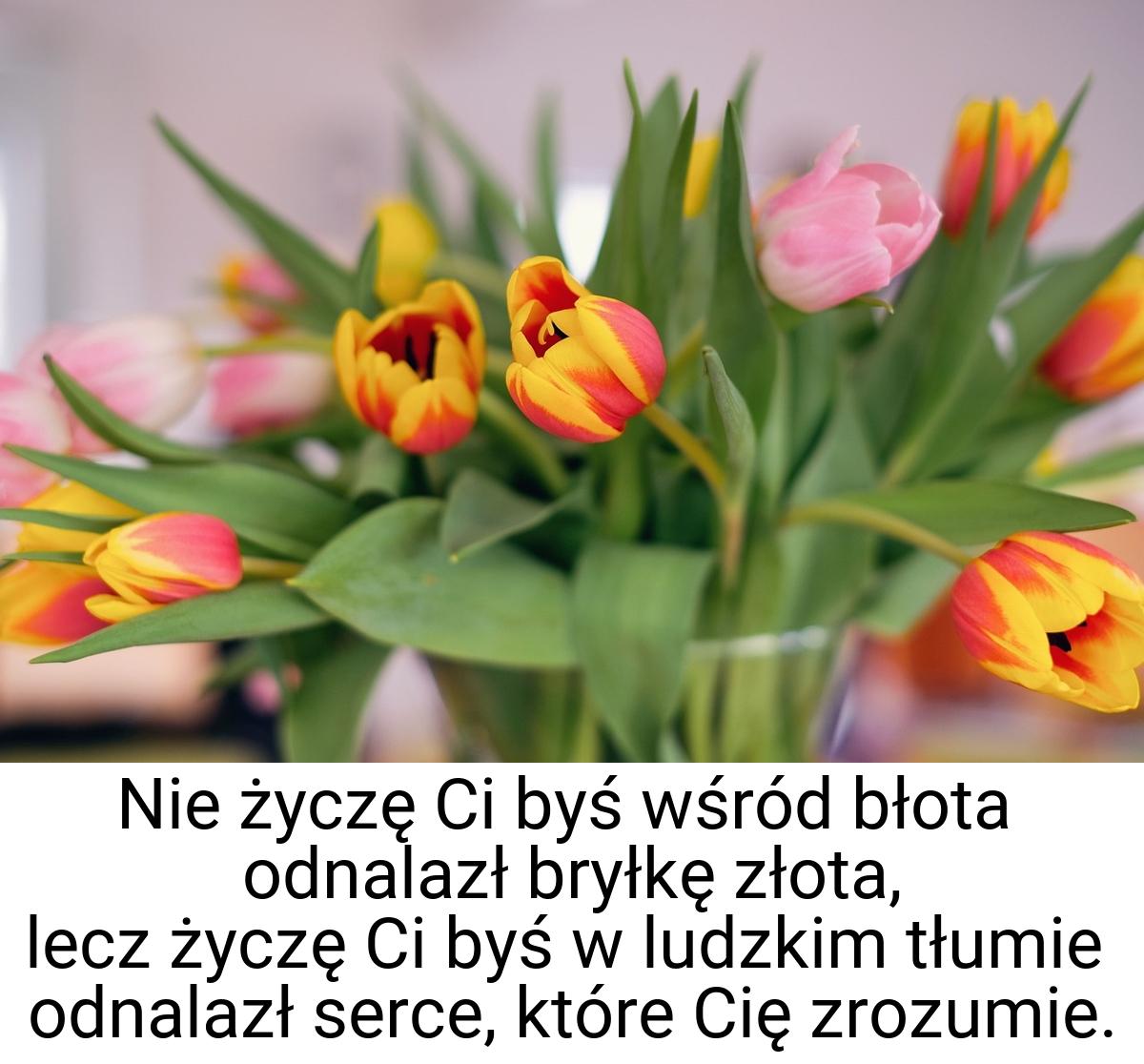 Nie życzę Ci byś wśród błota odnalazł bryłkę złota, lecz