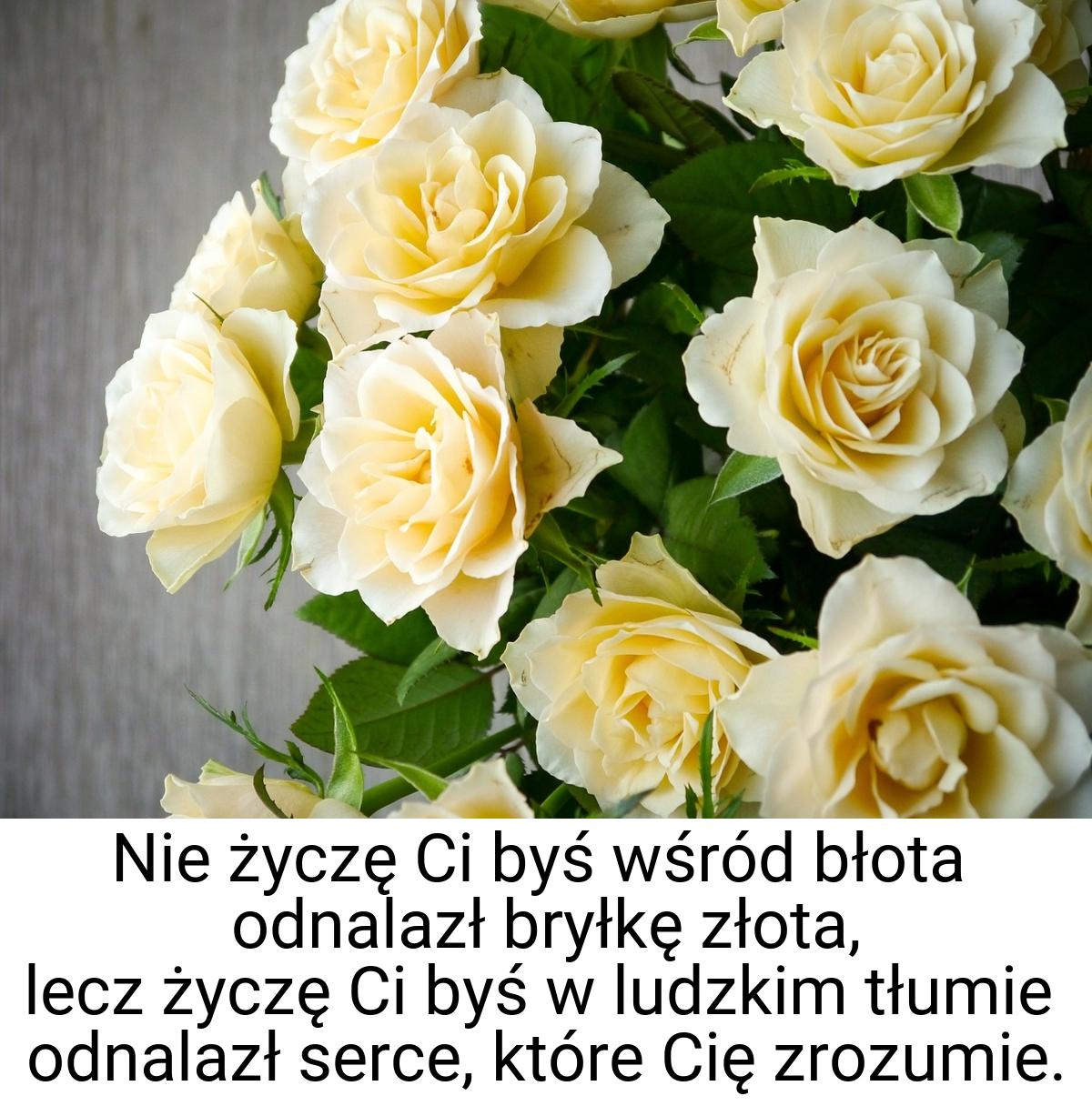 Nie życzę Ci byś wśród błota odnalazł bryłkę złota, lecz