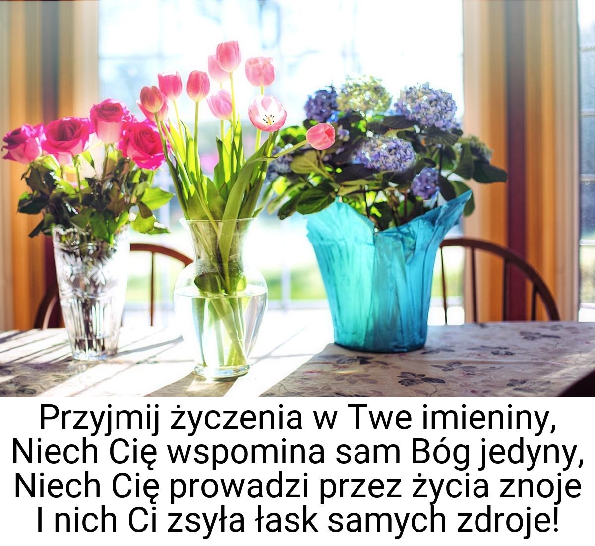 Przyjmij życzenia w Twe imieniny, Niech Cię wspomina sam