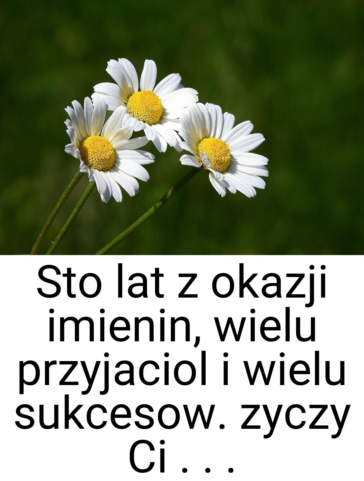 Sto lat z okazji imienin, wielu przyjaciol i wielu