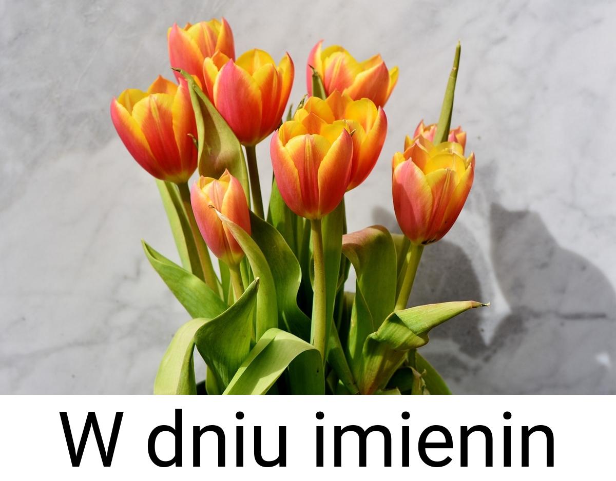 W dniu imienin