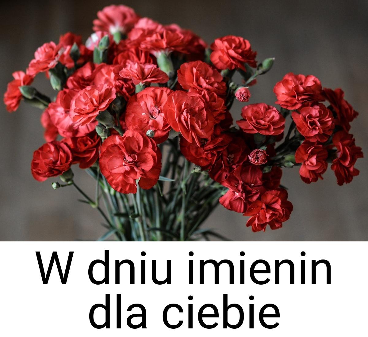 W dniu imienin dla ciebie