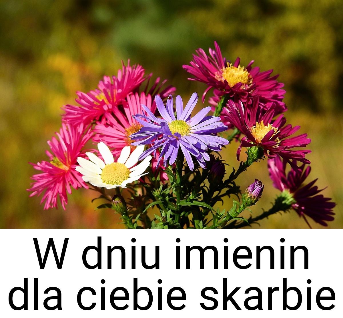 W dniu imienin dla ciebie skarbie