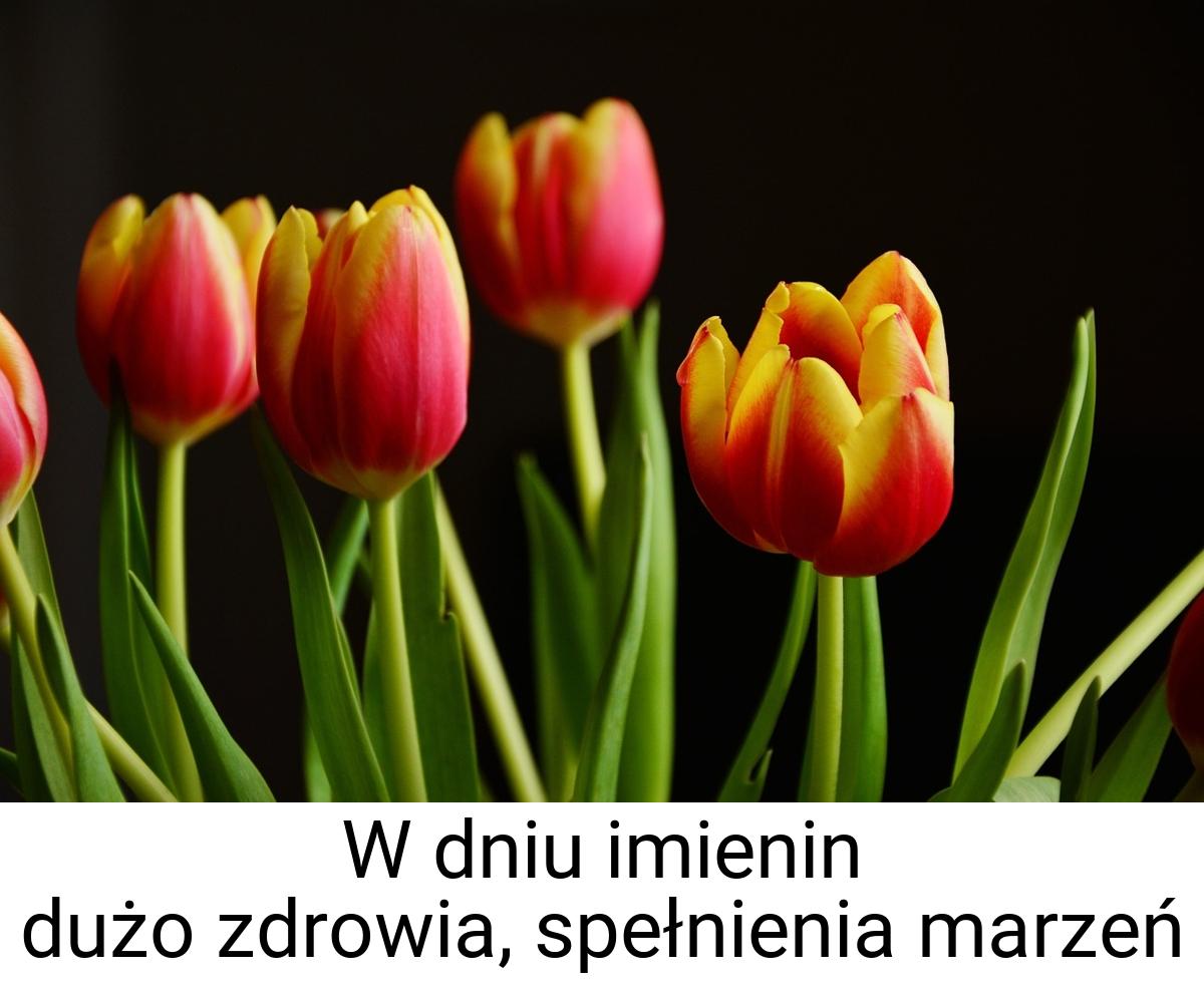 W dniu imienin dużo zdrowia, spełnienia marzeń
