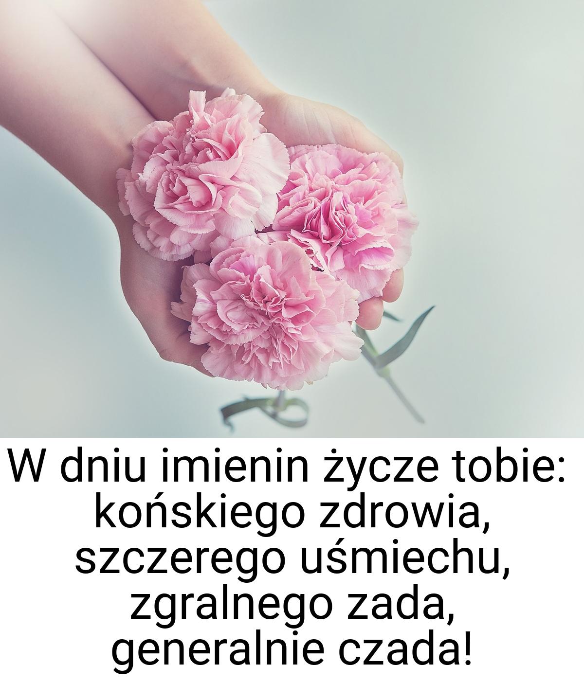 W dniu imienin życze tobie: końskiego zdrowia, szczerego