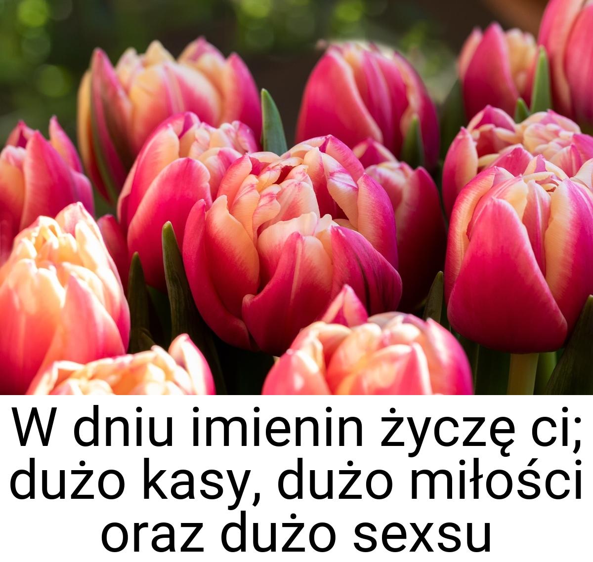 W dniu imienin życzę ci; dużo kasy, dużo miłości oraz dużo