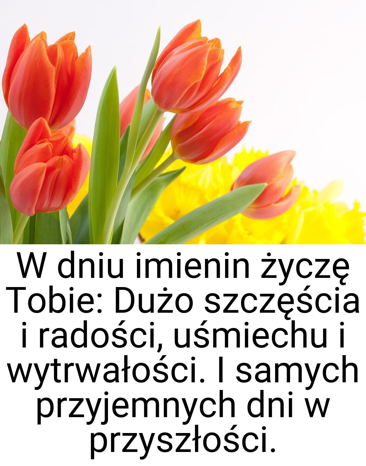 W dniu imienin życzę Tobie: Dużo szczęścia i radości