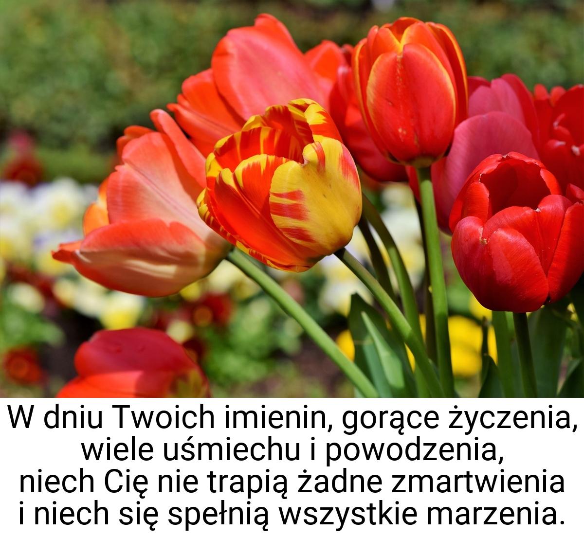 W dniu Twoich imienin, gorące życzenia, wiele uśmiechu i
