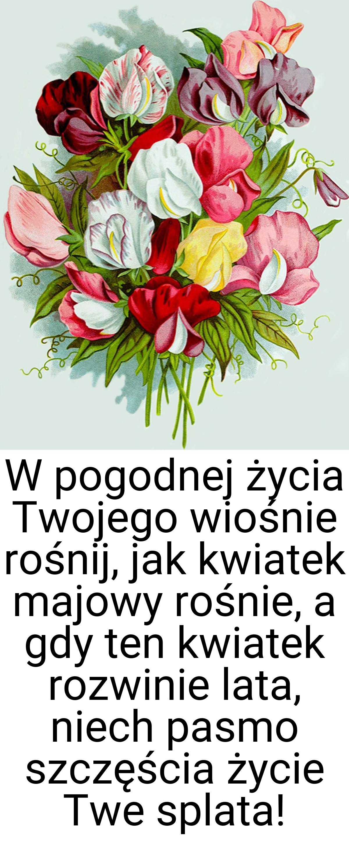 W pogodnej życia Twojego wiośnie rośnij, jak kwiatek majowy