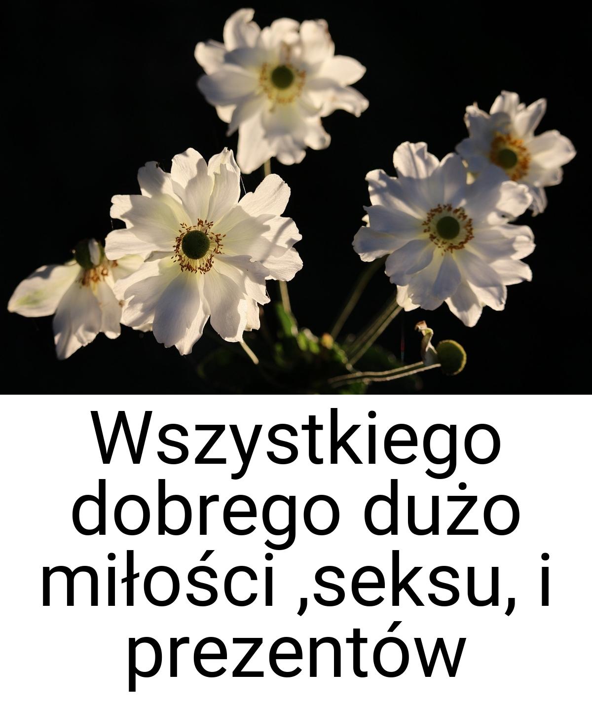 Wszystkiego dobrego dużo miłości ,seksu, i prezentów