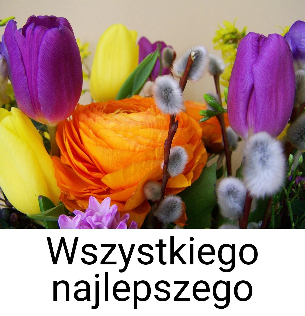 Wszystkiego najlepszego