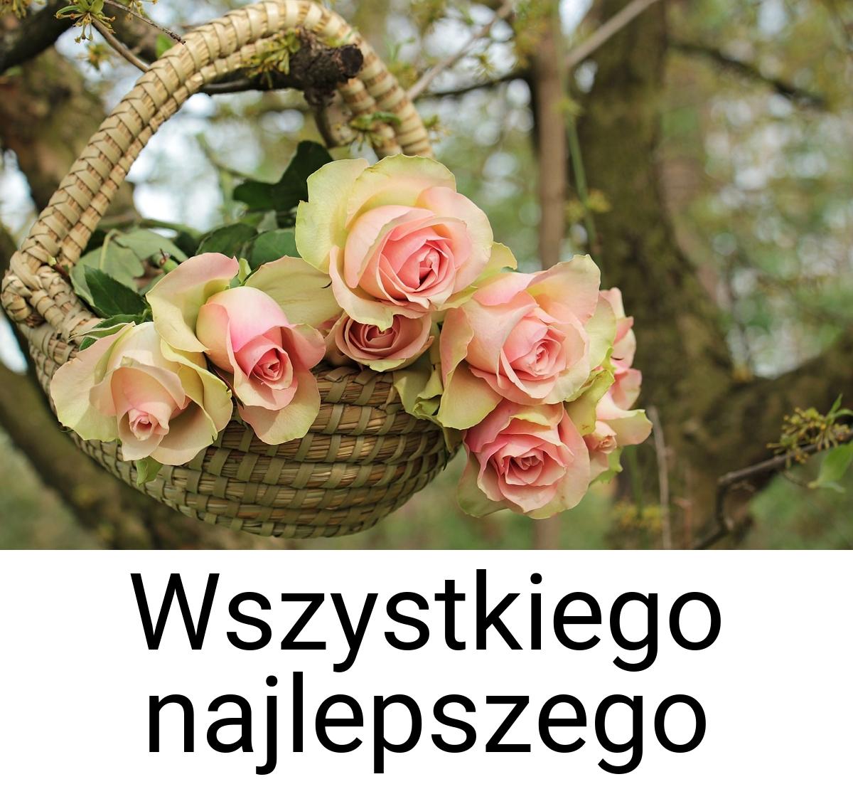 Wszystkiego najlepszego