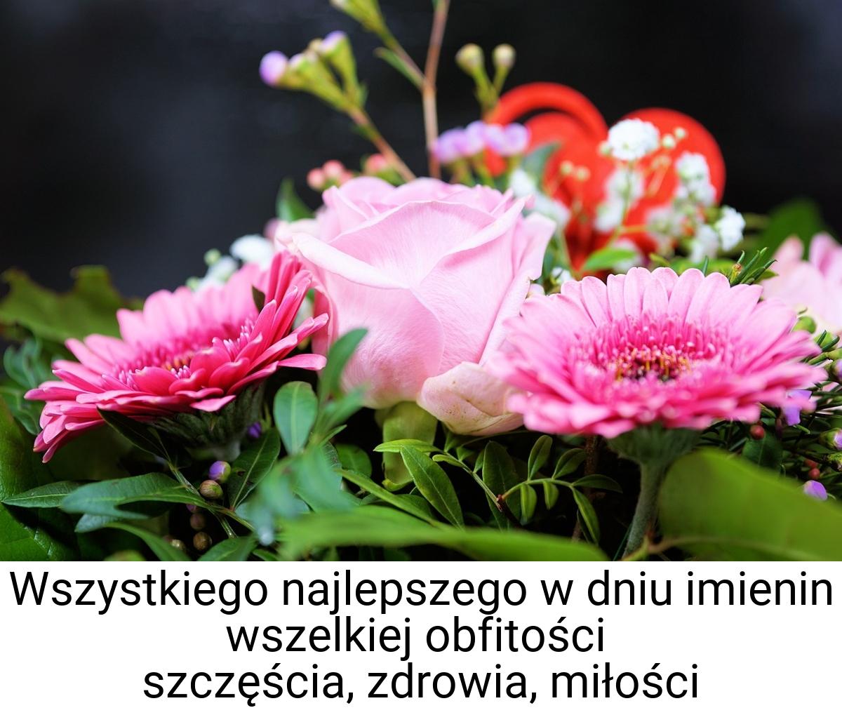 Wszystkiego najlepszego w dniu imienin wszelkiej obfitości