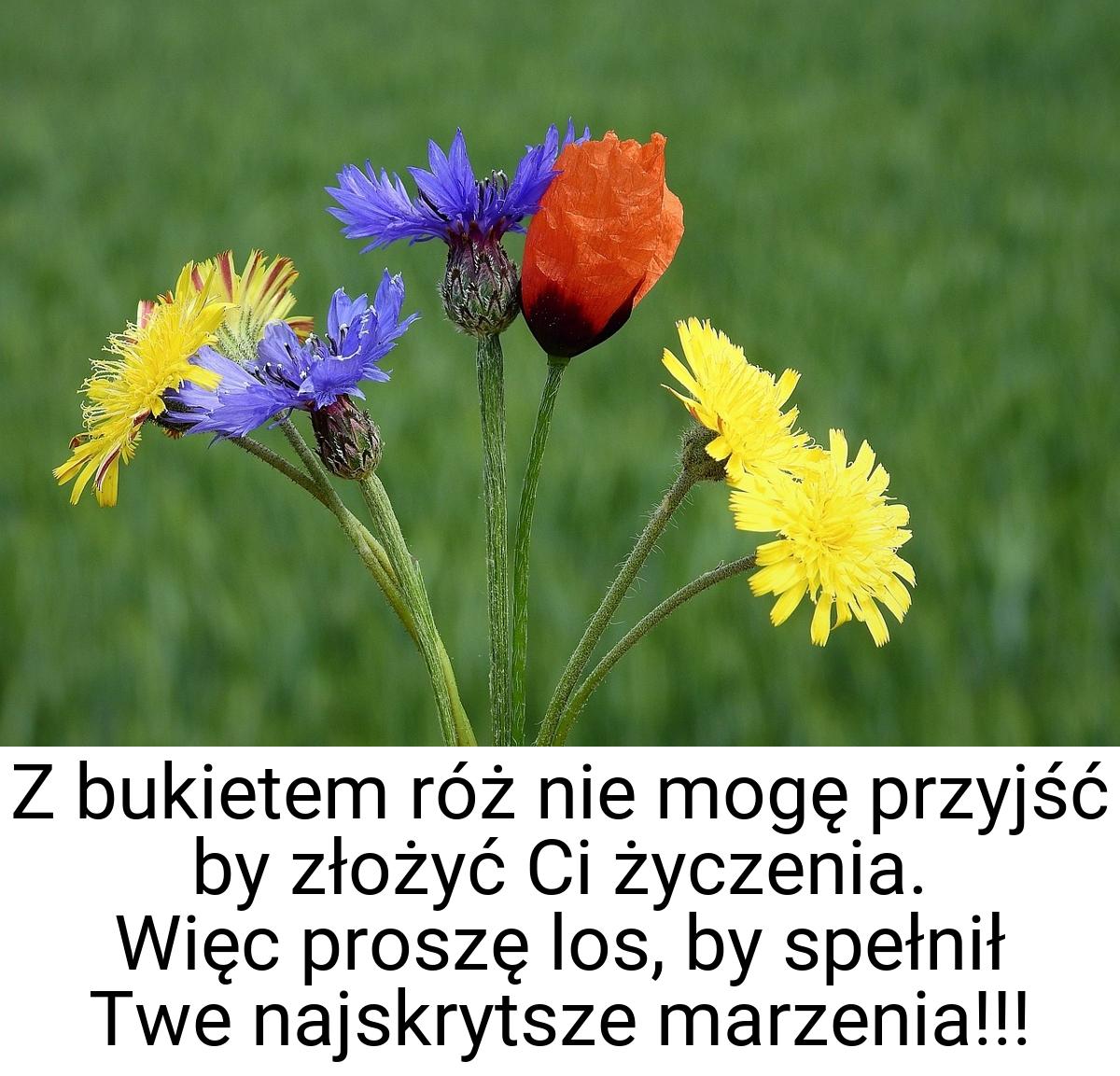 Z bukietem róż nie mogę przyjść by złożyć Ci życzenia. Więc