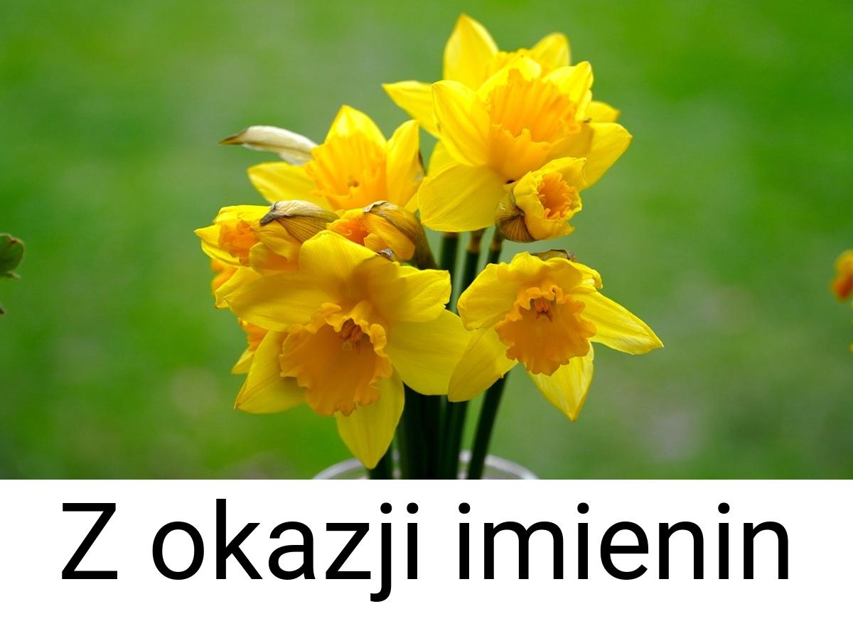 Z okazji imienin