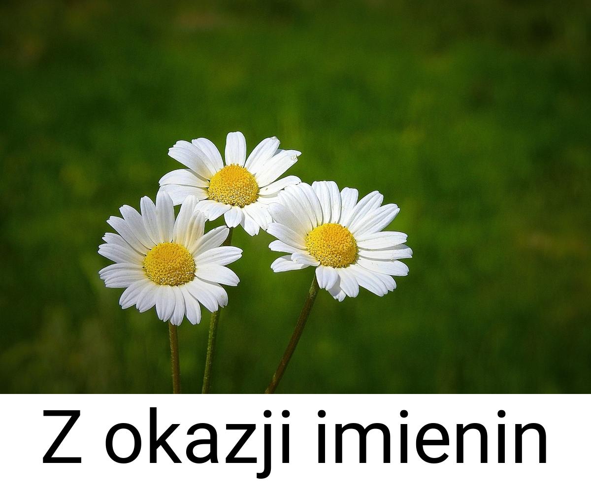 Z okazji imienin