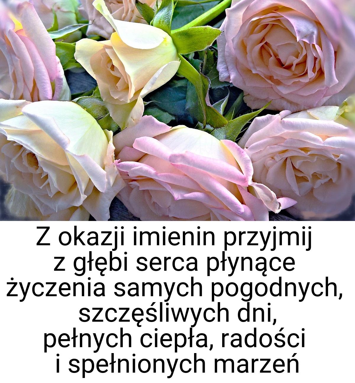 Z okazji imienin przyjmij z głębi serca płynące życzenia