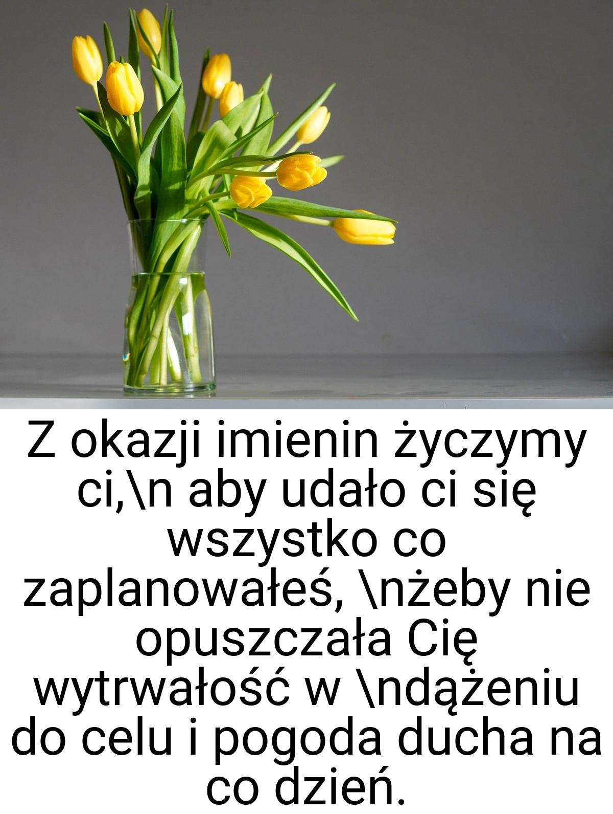 Z okazji imienin życzymy ci,\n aby udało ci się wszystko co