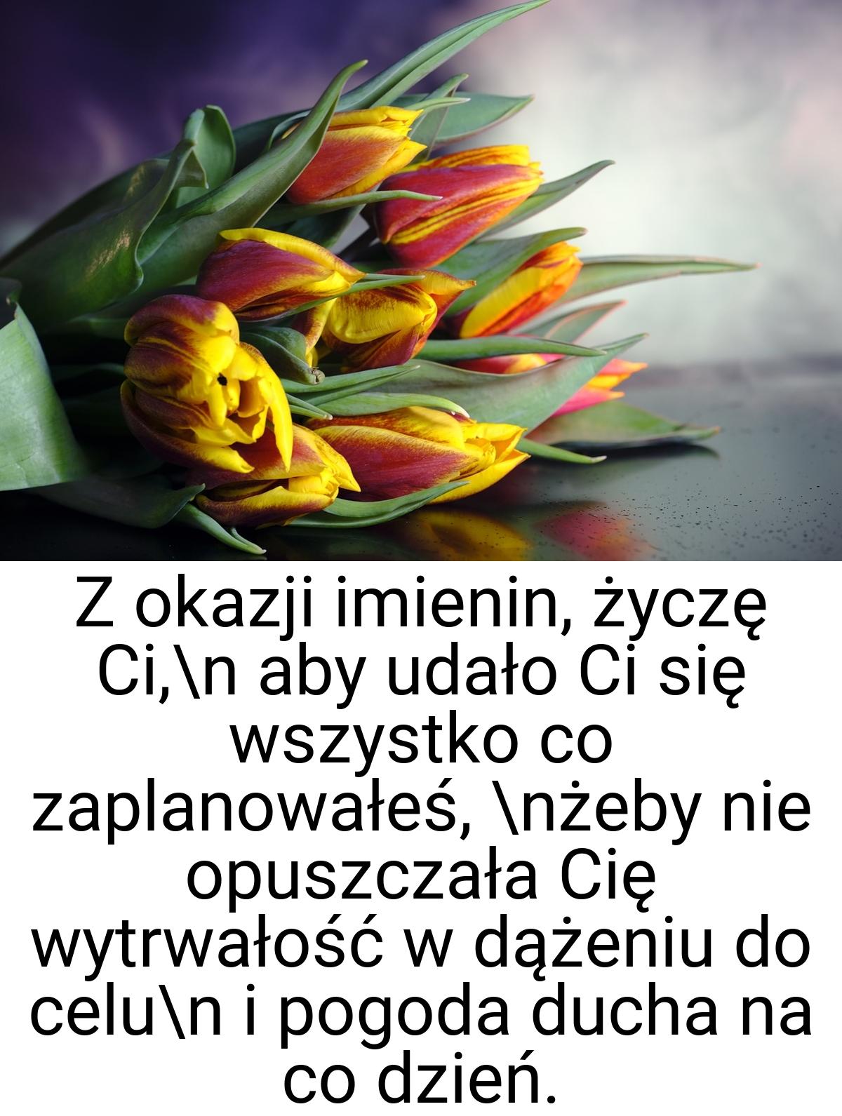 Z okazji imienin, życzę Ci,\n aby udało Ci się wszystko co