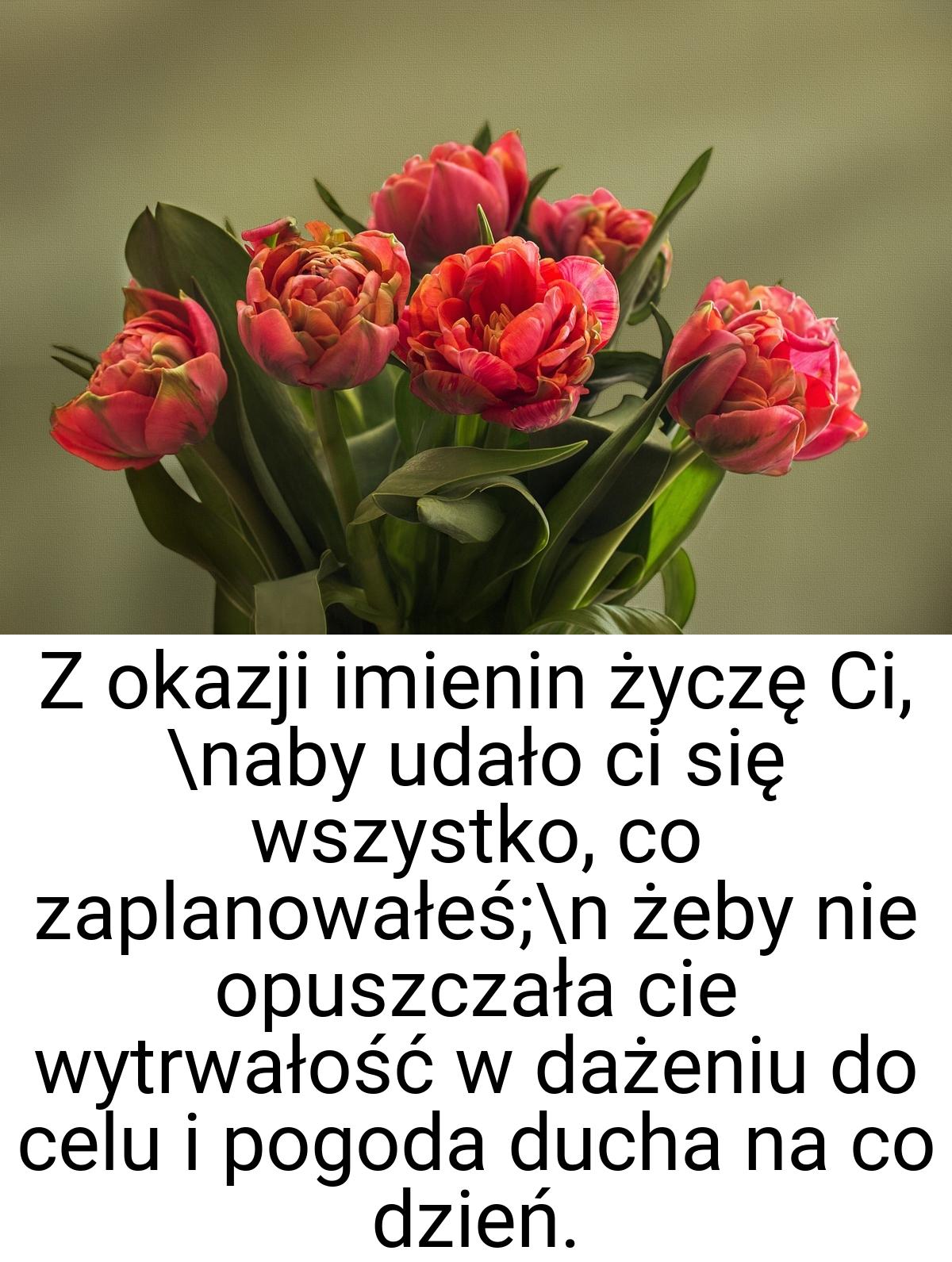 Z okazji imienin życzę Ci, \naby udało ci się wszystko, co