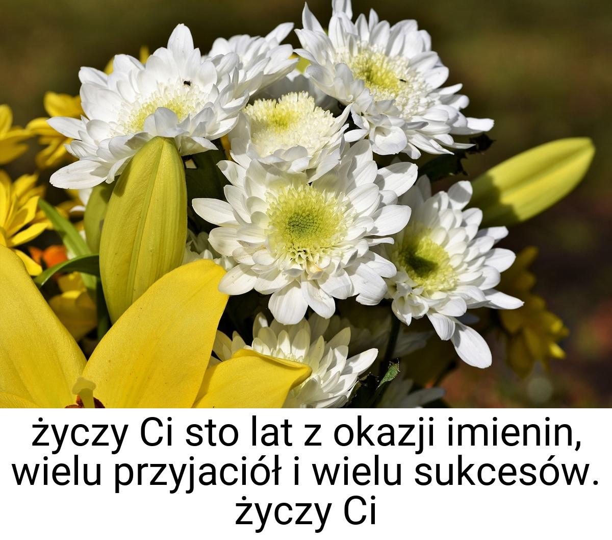 Życzy Ci sto lat z okazji imienin, wielu przyjaciół i wielu