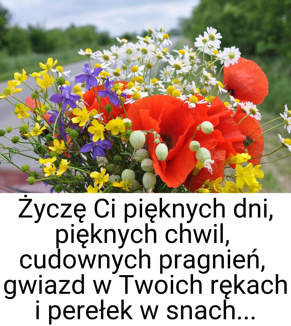 Życzę Ci pięknych dni, pięknych chwil, cudownych pragnień