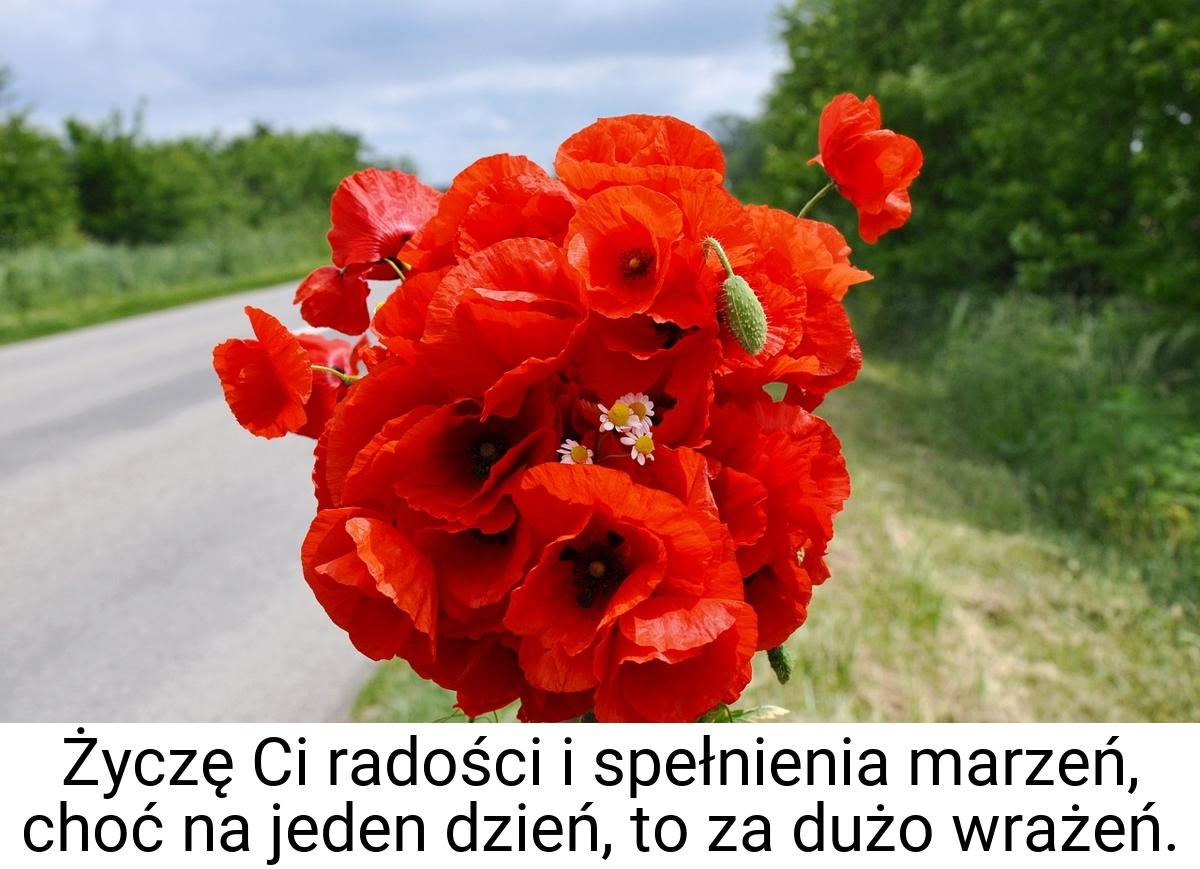 Życzę Ci radości i spełnienia marzeń, choć na jeden dzień