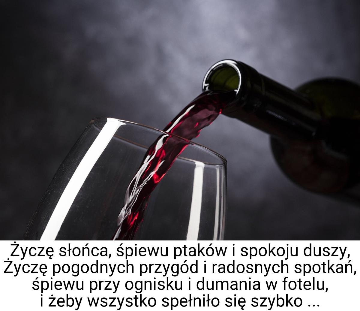 Życzę słońca, śpiewu ptaków i spokoju duszy, Życzę