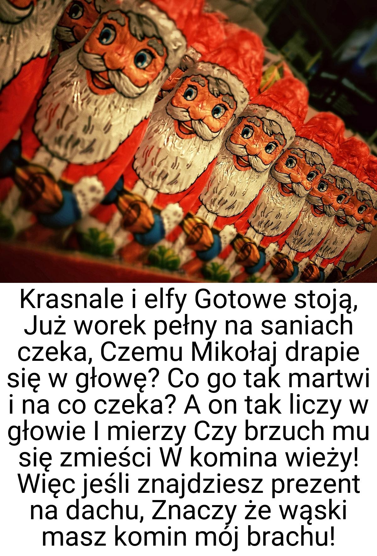 Krasnale i elfy Gotowe stoją, Już worek pełny na saniach