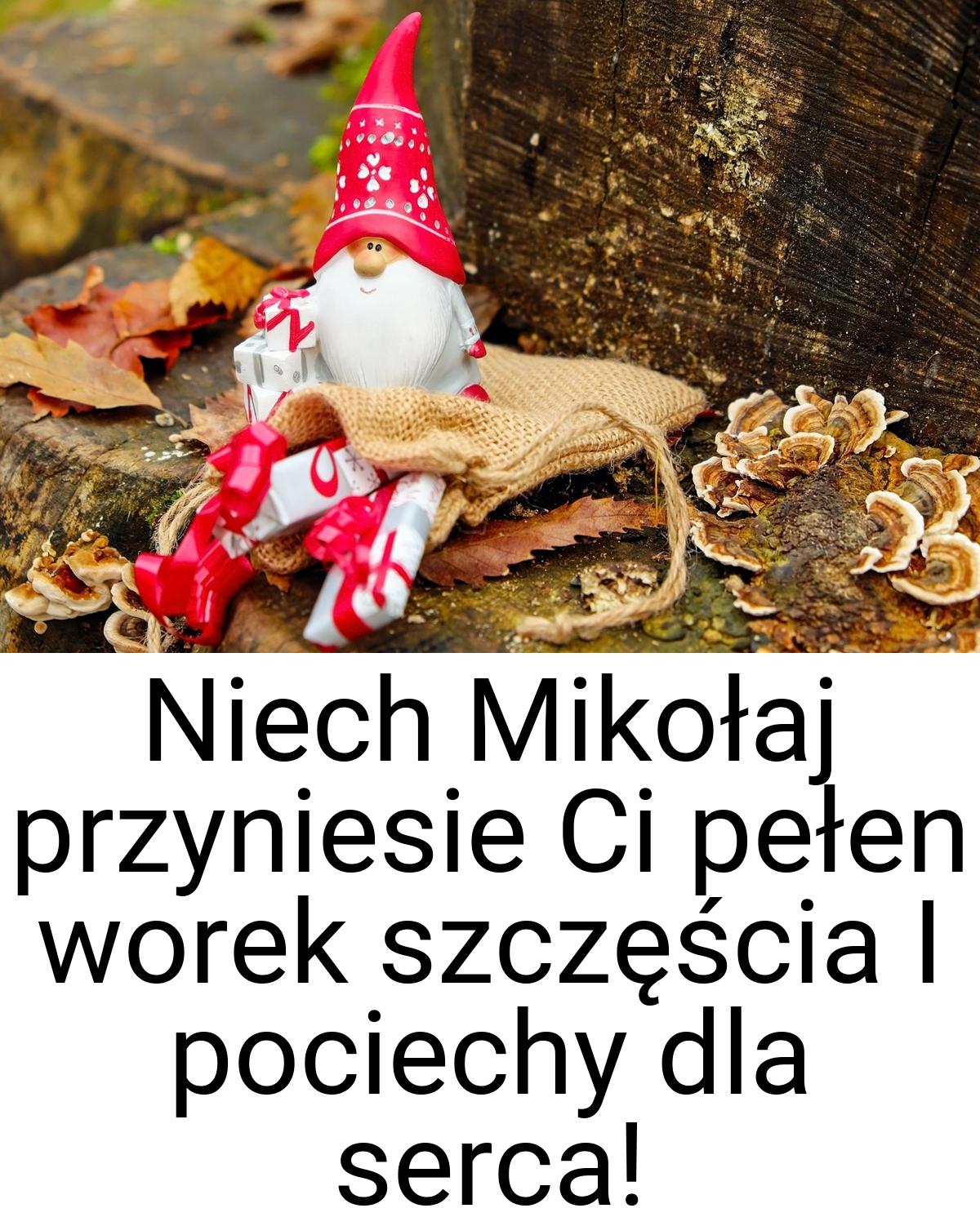 Niech Mikołaj przyniesie Ci pełen worek szczęścia I