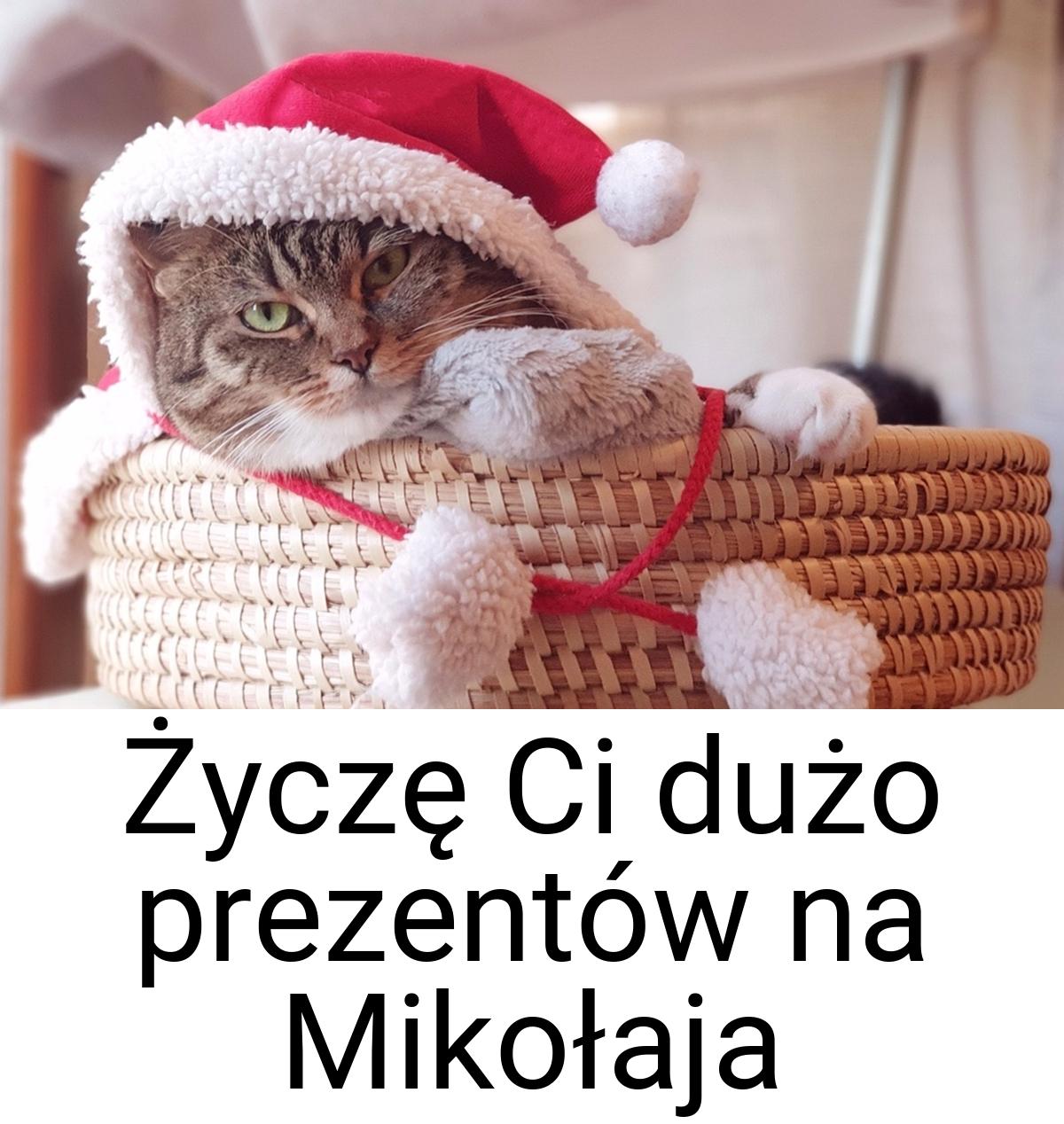 Życzę Ci dużo prezentów na Mikołaja