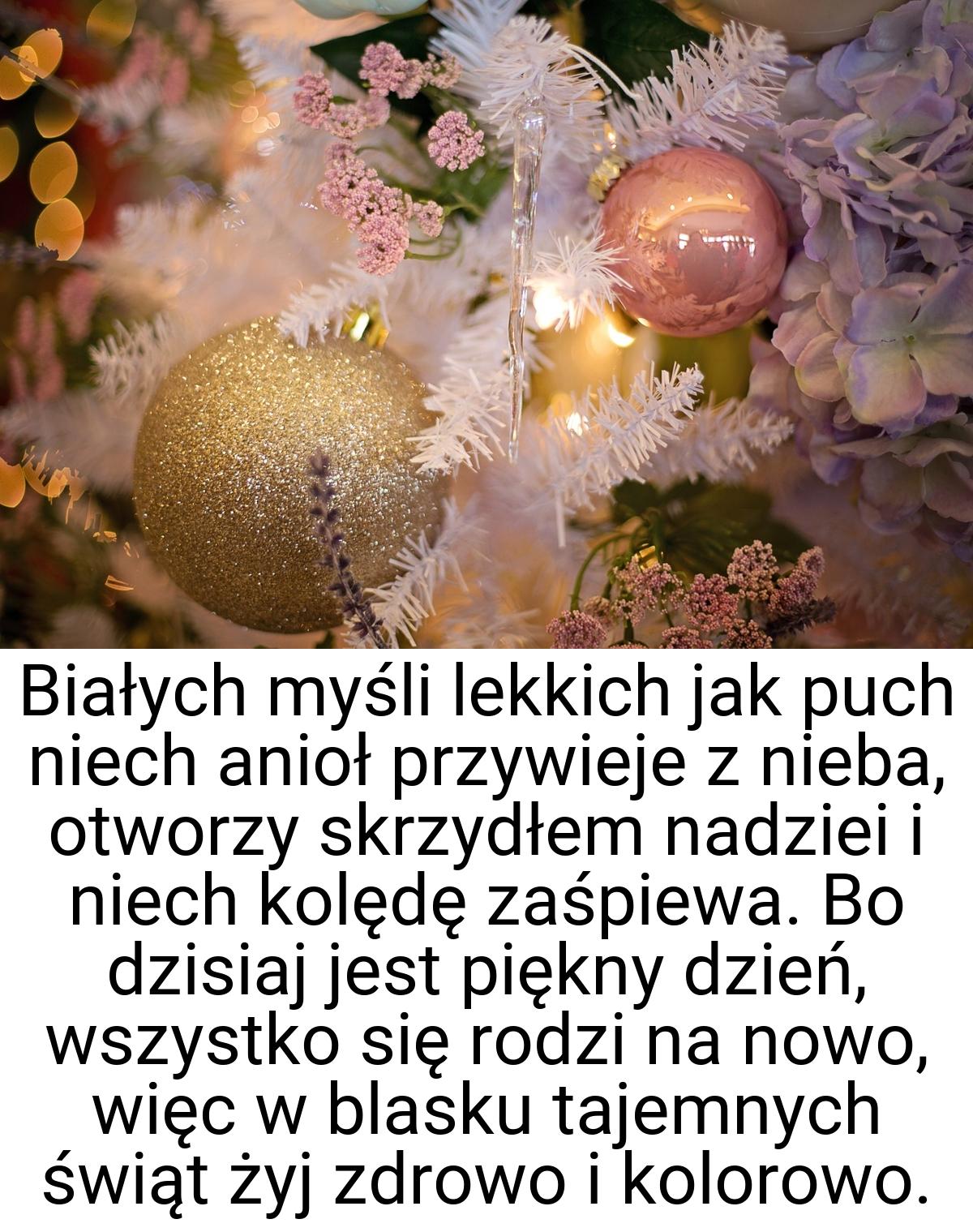 Białych myśli lekkich jak puch niech anioł przywieje z