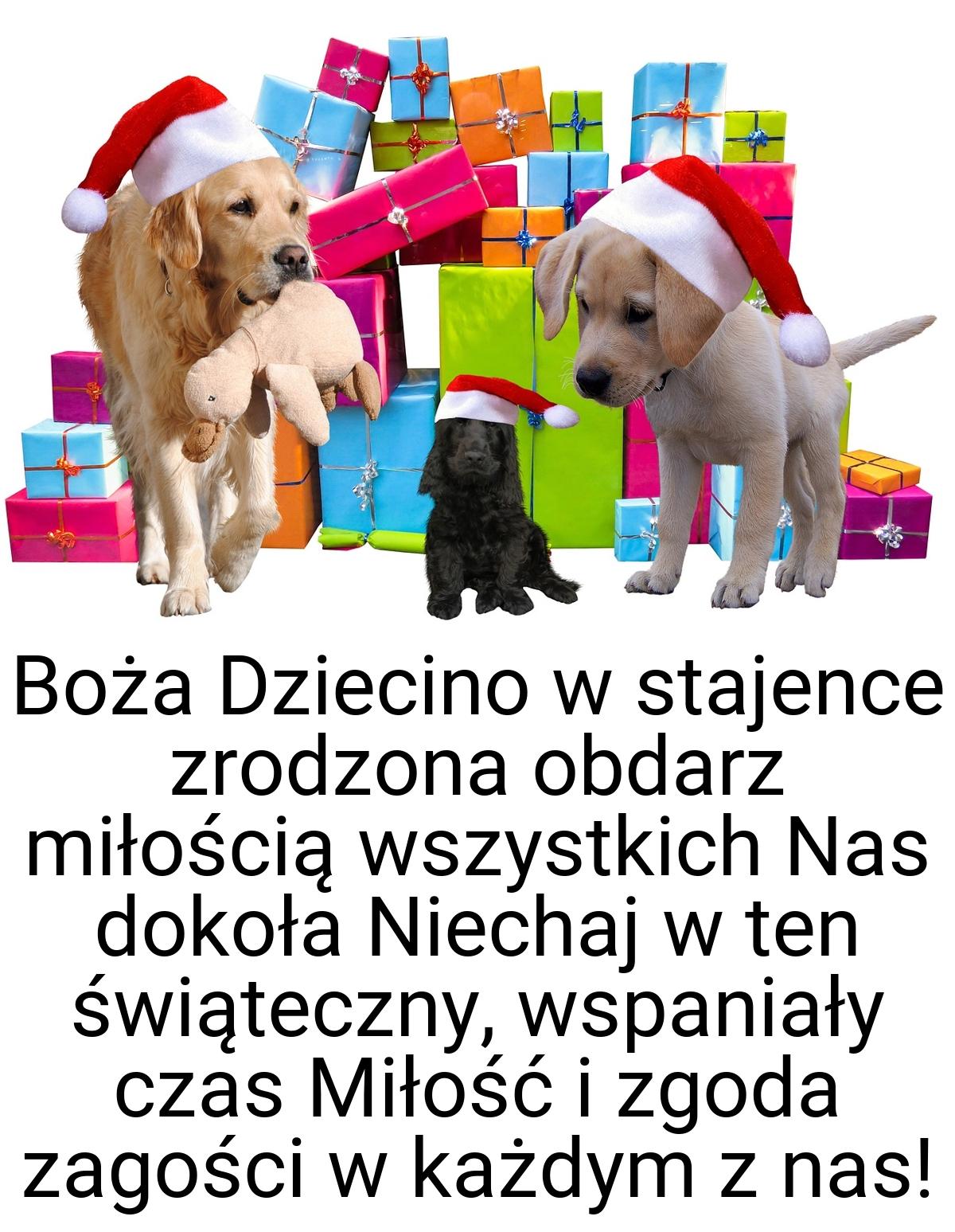 Boża Dziecino w stajence zrodzona obdarz miłością