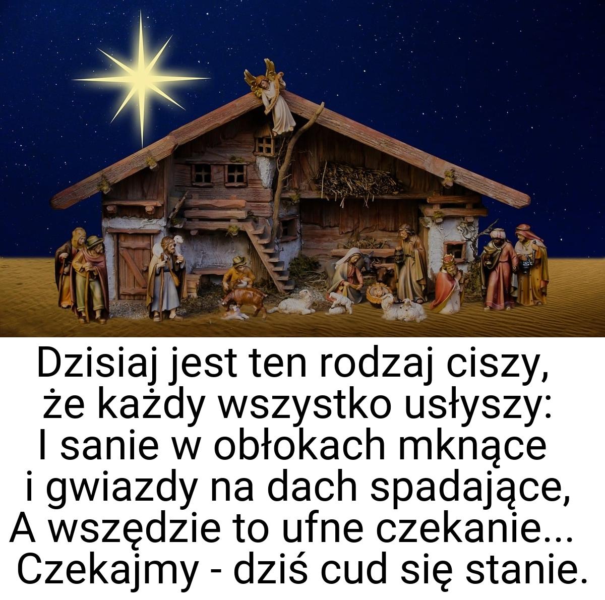 Dzisiaj jest ten rodzaj ciszy, że każdy wszystko usłyszy: I