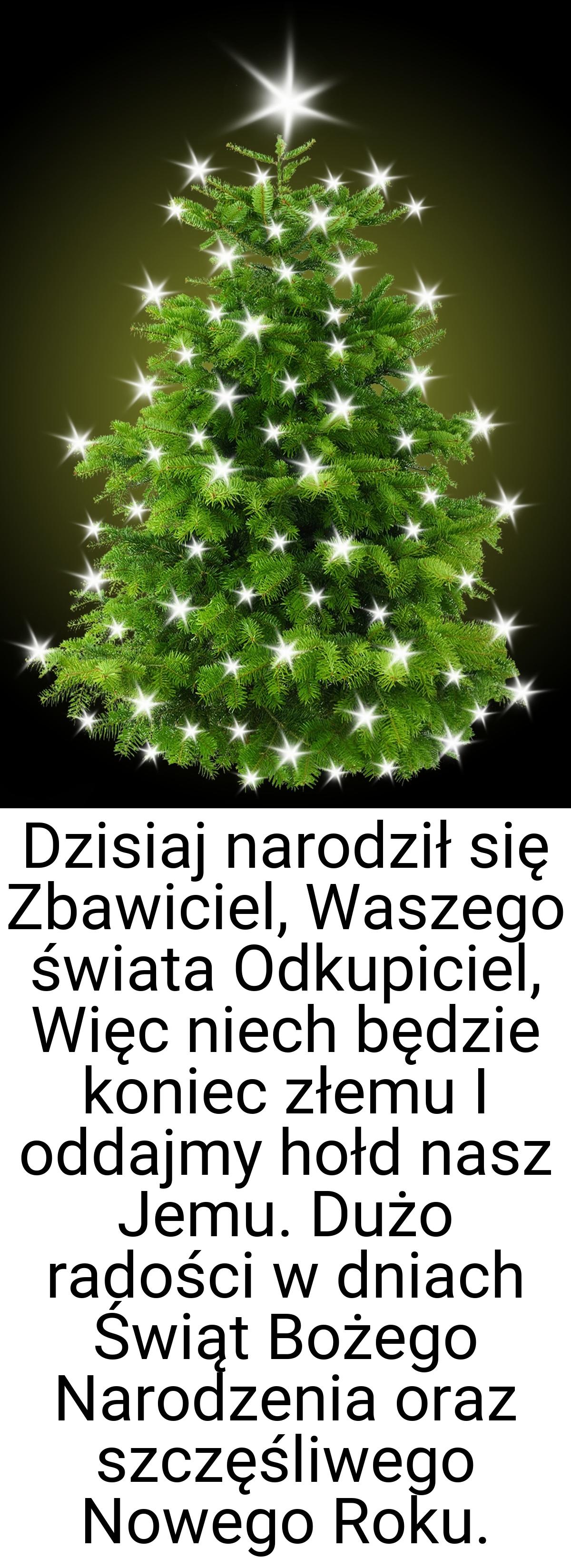 Dzisiaj narodził się Zbawiciel, Waszego świata Odkupiciel