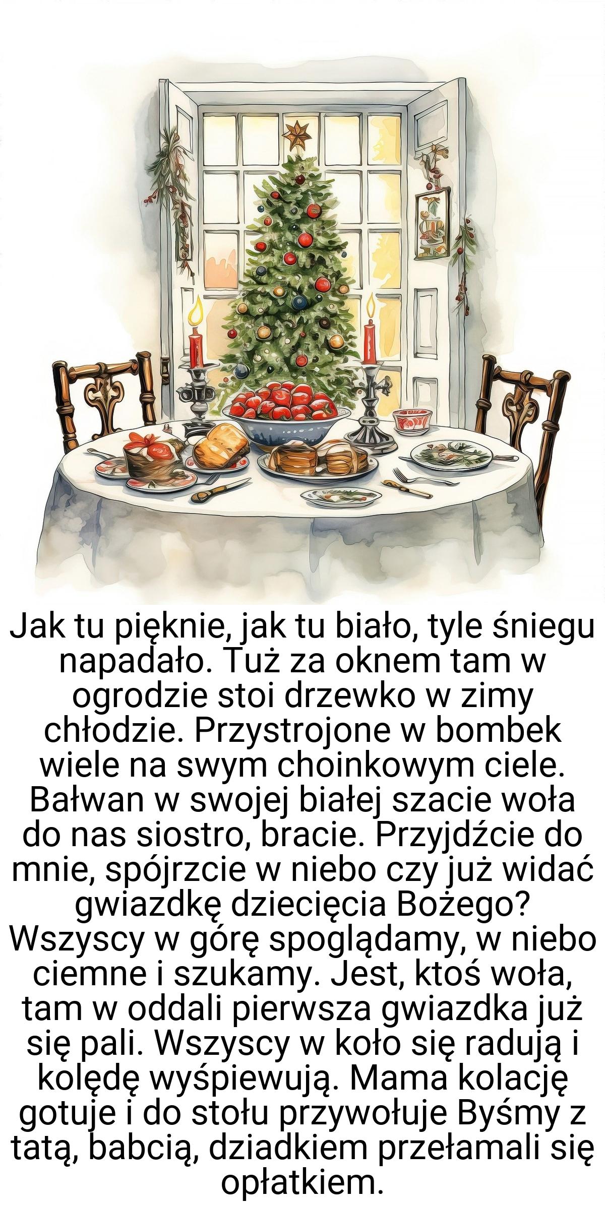 Jak tu pięknie, jak tu biało, tyle śniegu napadało. Tuż za