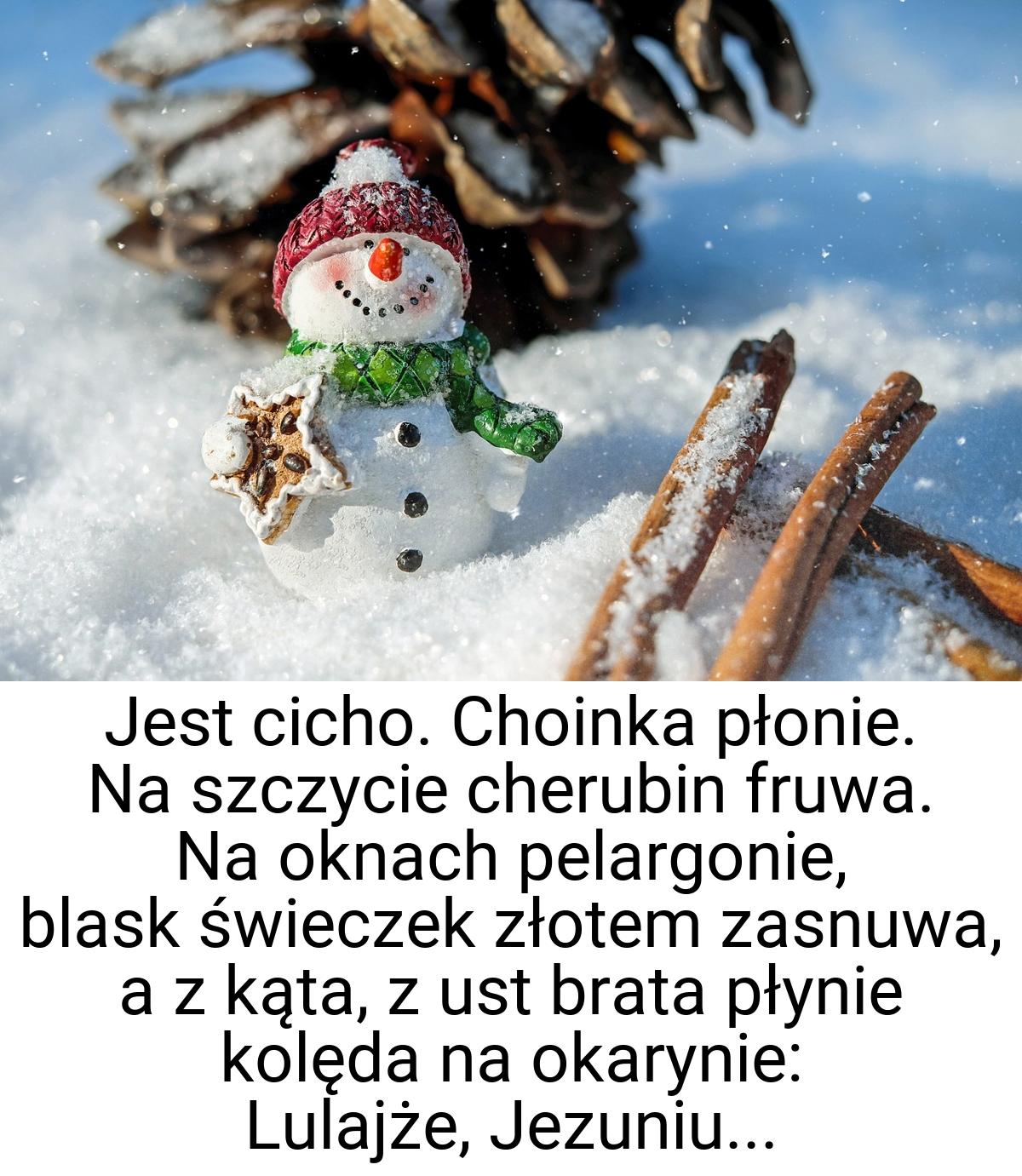 Jest cicho. Choinka płonie. Na szczycie cherubin fruwa. Na