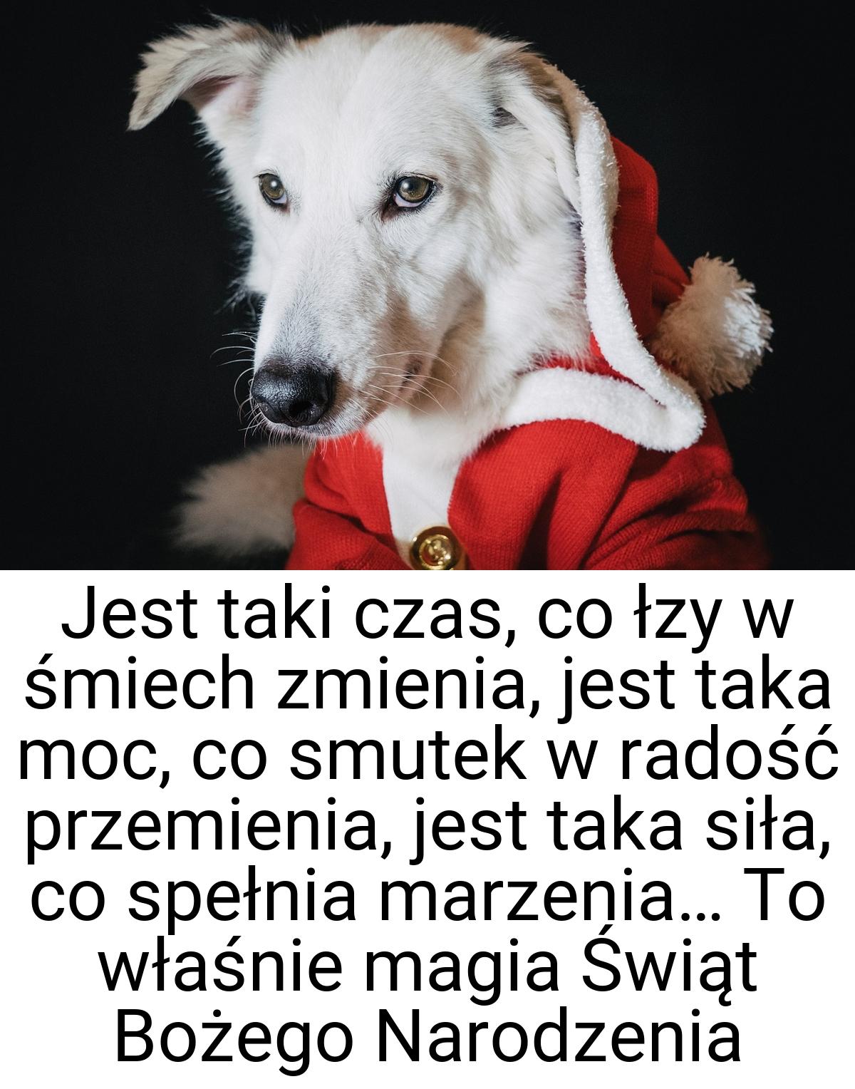 Jest taki czas, co łzy w śmiech zmienia, jest taka moc, co